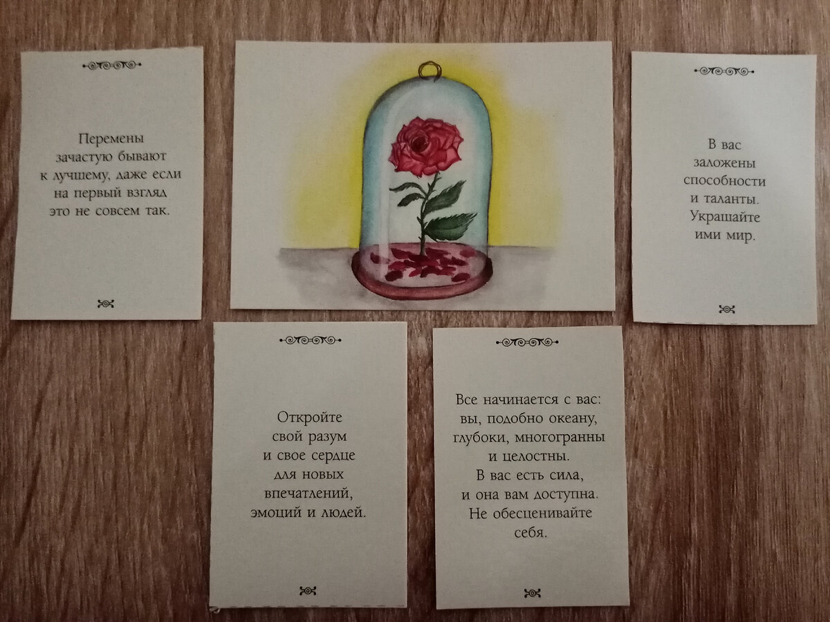 фото сделано автором канала. 