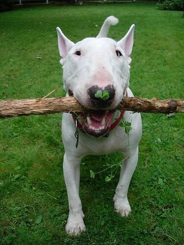 Во поле березу заломаю... 7-1 | Родом из детства | Дзен