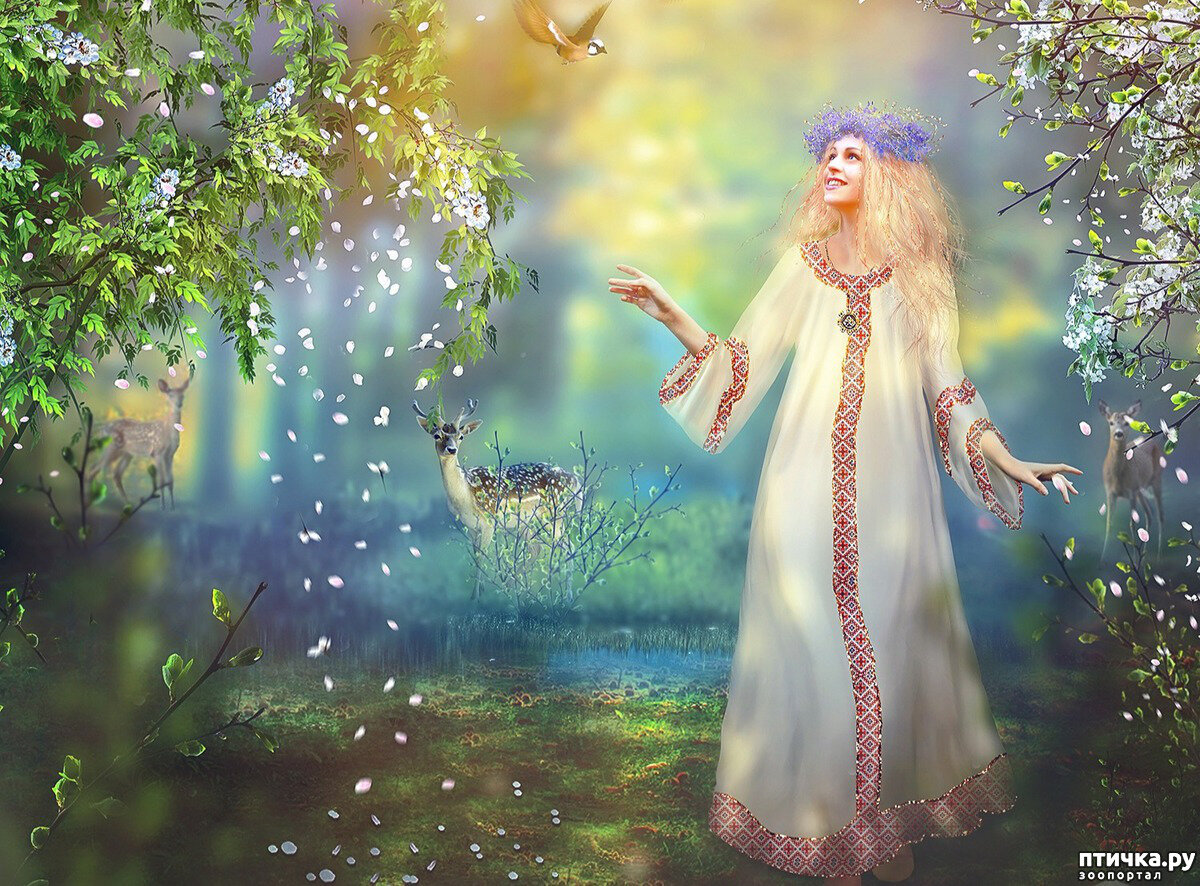 Радость - ключ к здоровью. Фото из открытых источников.