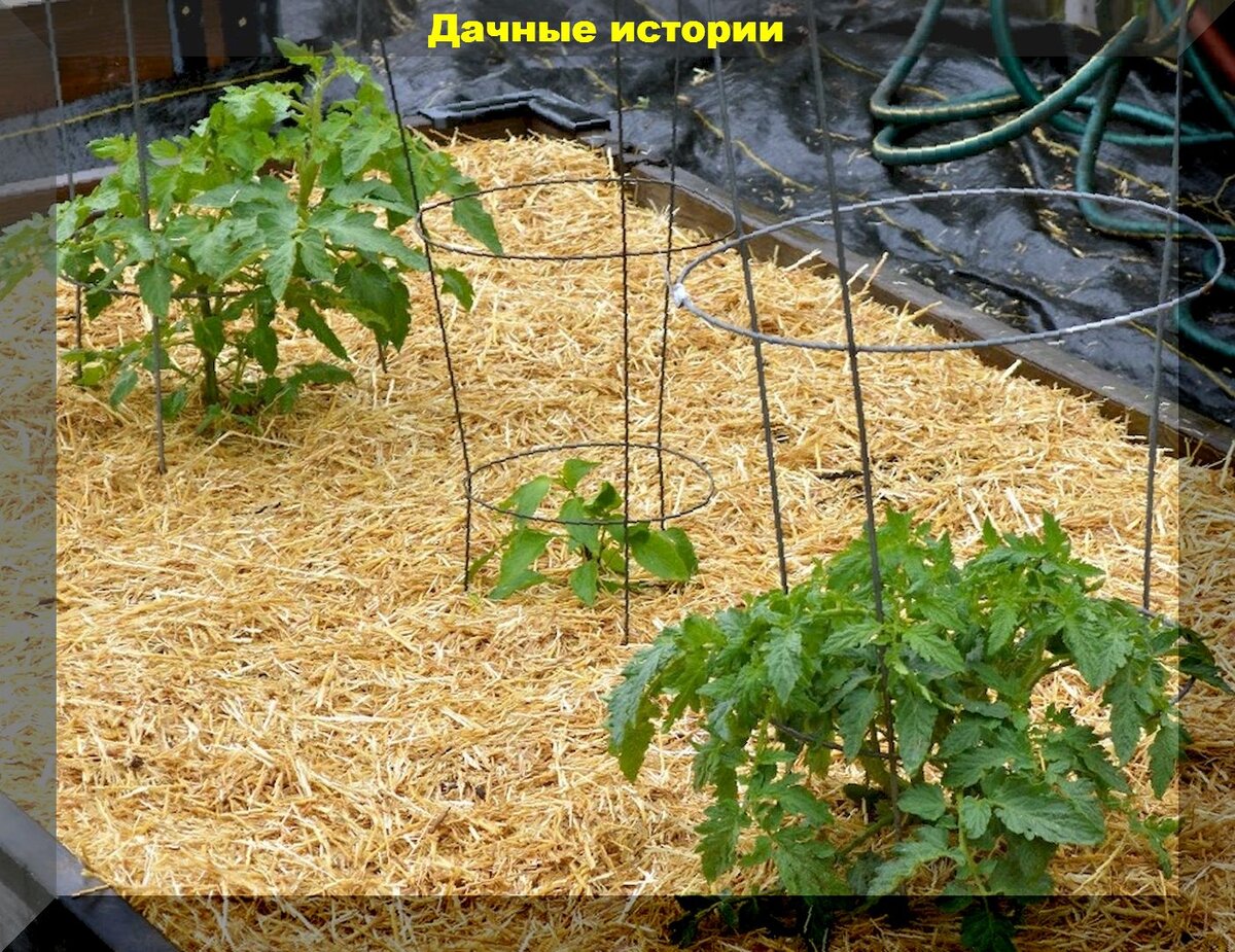 https://vk.com/photo-159774511_457248080
