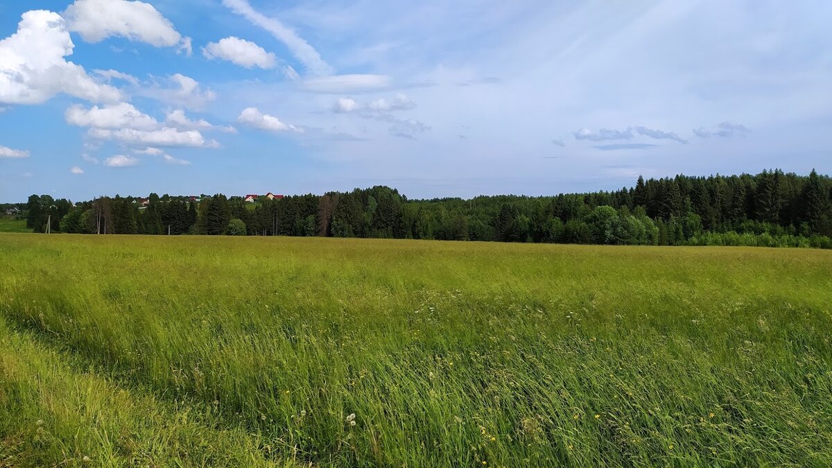 Фото из личного архива
