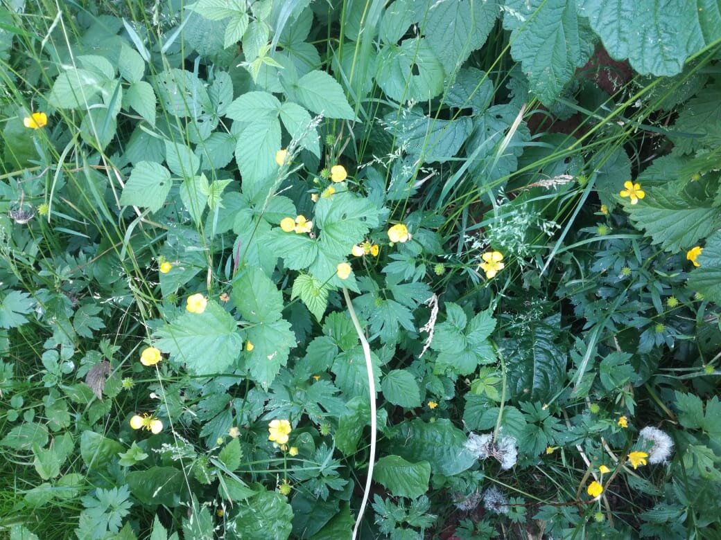 Фото из личного архива 