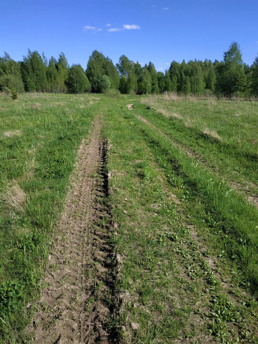 Дорога к лесной тропинке. 