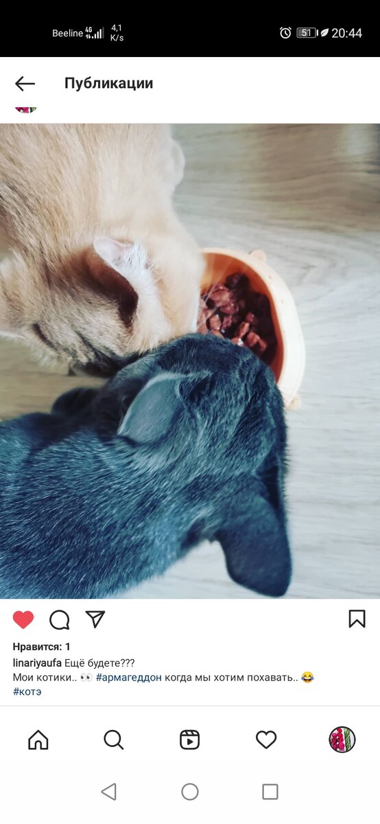 Bon Appétit.. 