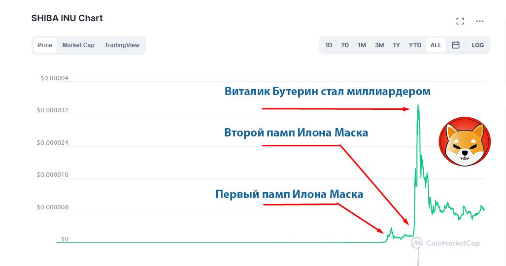 Как благодаря пампу Илона Маска и тайному подарку В. Бутерин стал Миллиардером