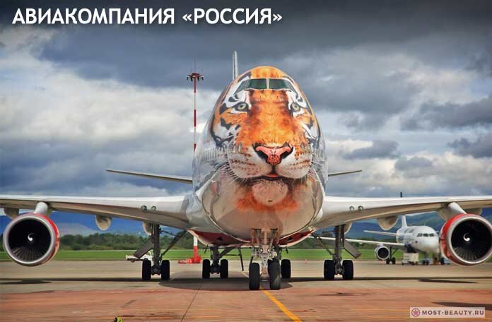 Авиакомпания — Россия, Ливрея — Амурский тигр