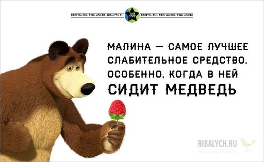 Смешные картинки с надписями для поднятия настроения до слез о жизненных ситуациях