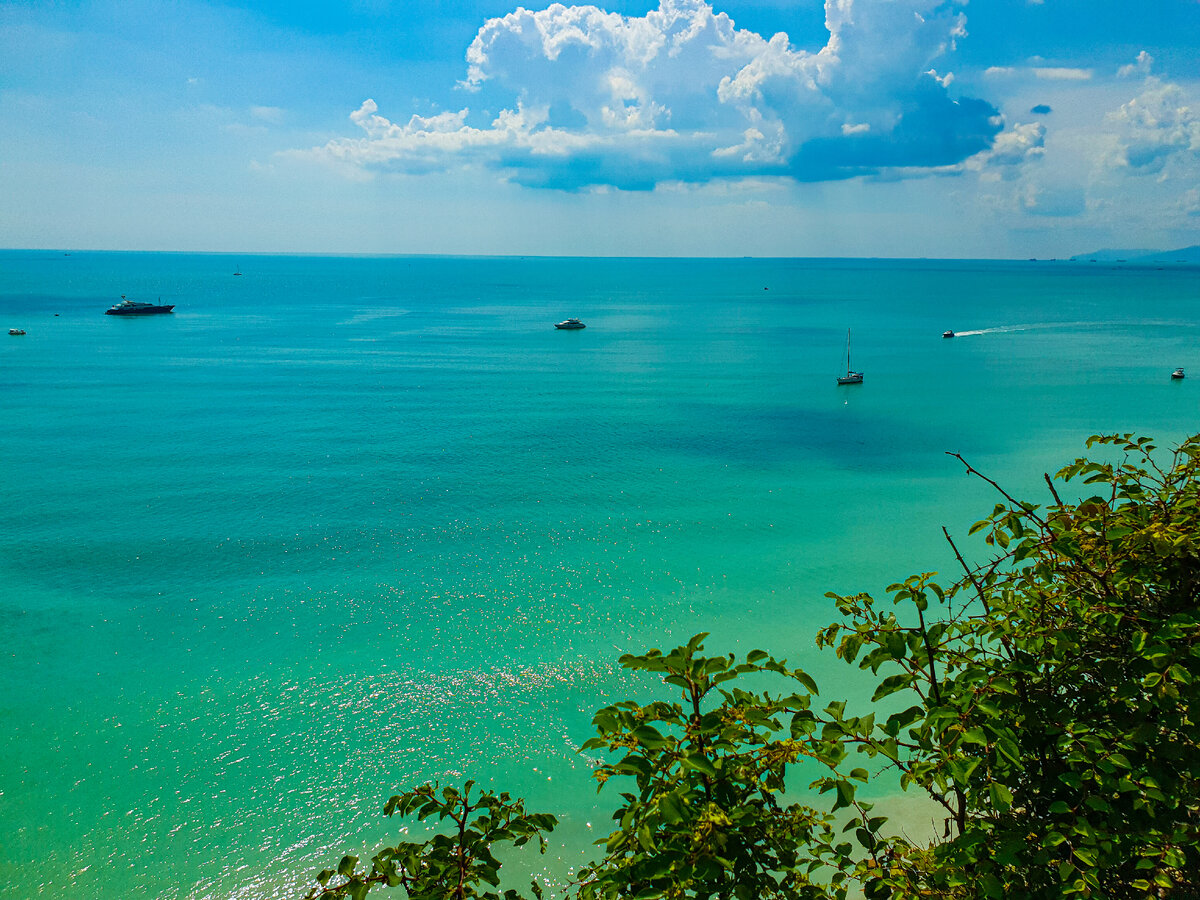 Потрясающие виды