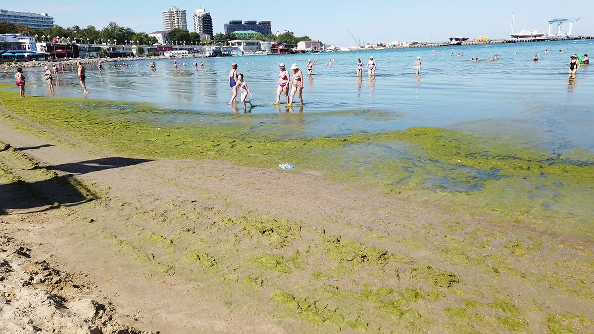 Можно ли отдохнуть в анапе сейчас. Анапа пляж ил. Анапа море 2022 год. Анапа пляж без людей. Анапа август 2021.