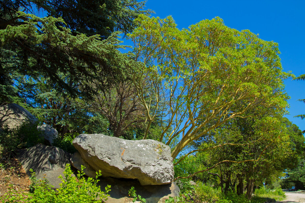 вид на живописные каменные глыбы