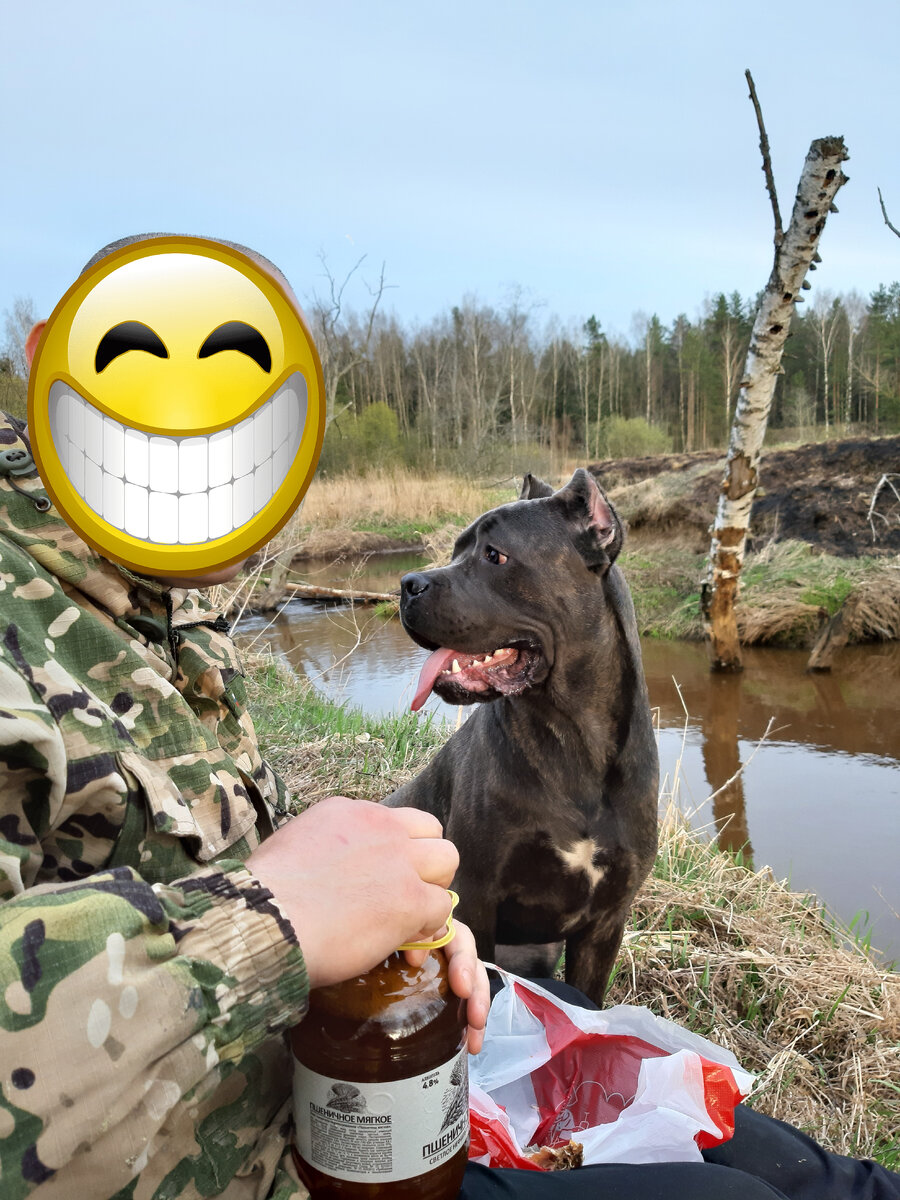 Это собственно те 2 лося))))))))