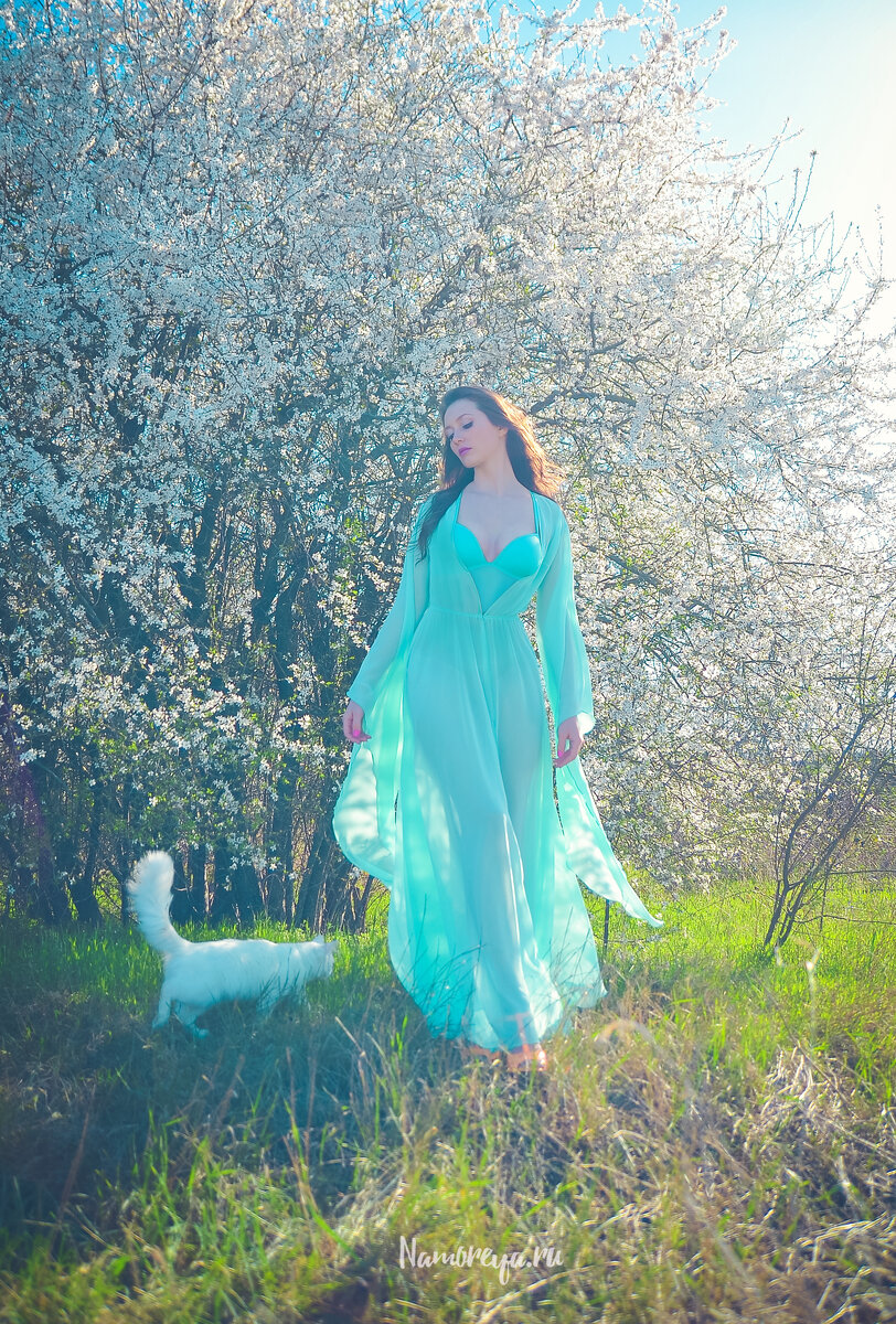 Вот так цветет алыча на Кубани в апреле