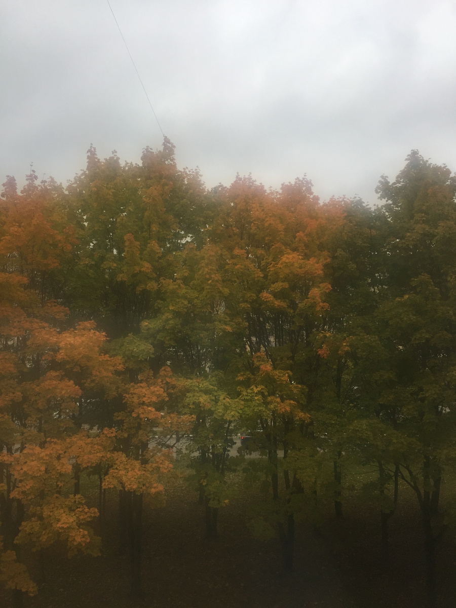 Фото автора. 