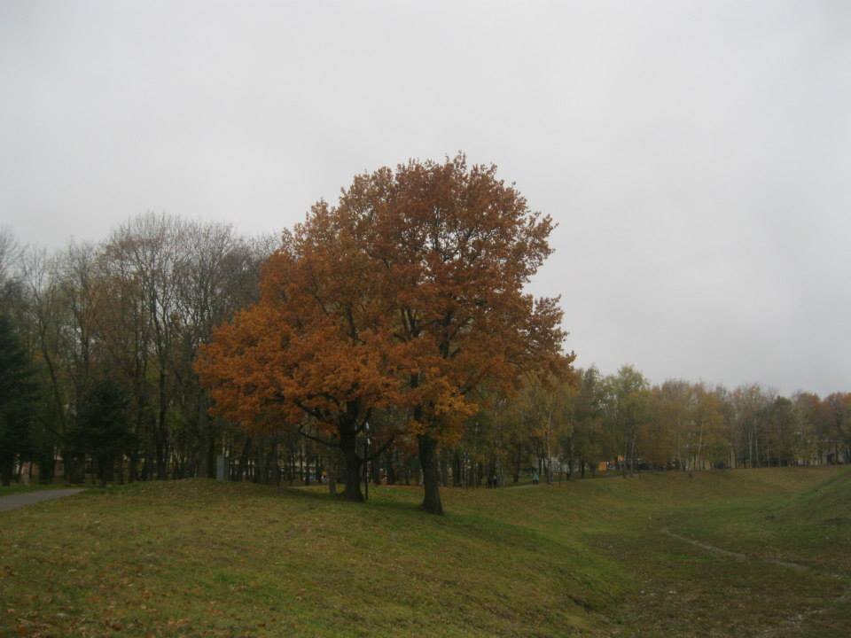 собственное фото автора статьи