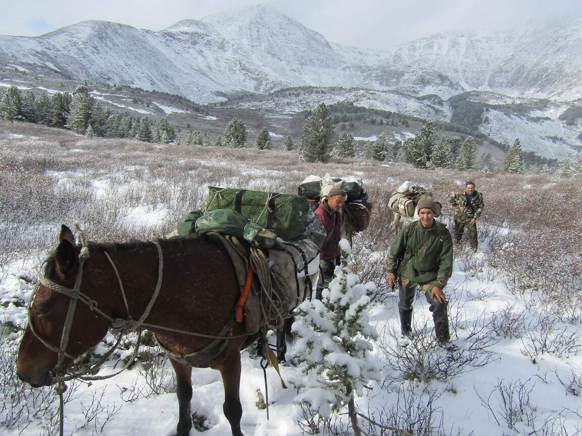 На маршруте