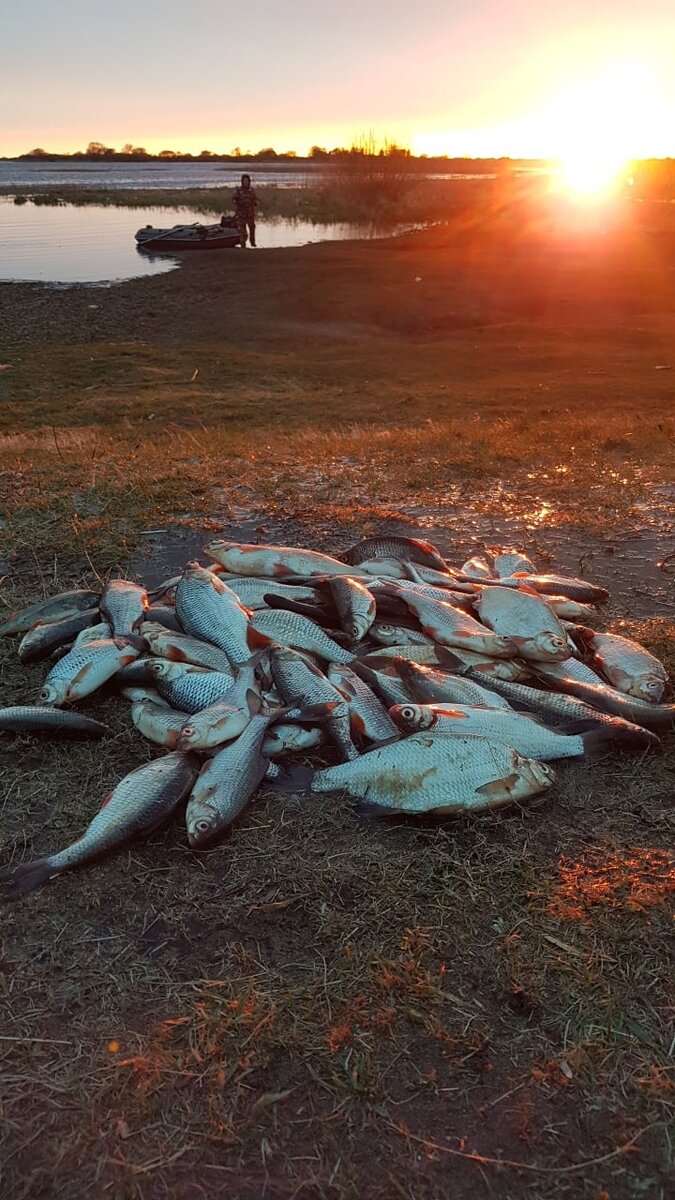 Вот такой улов