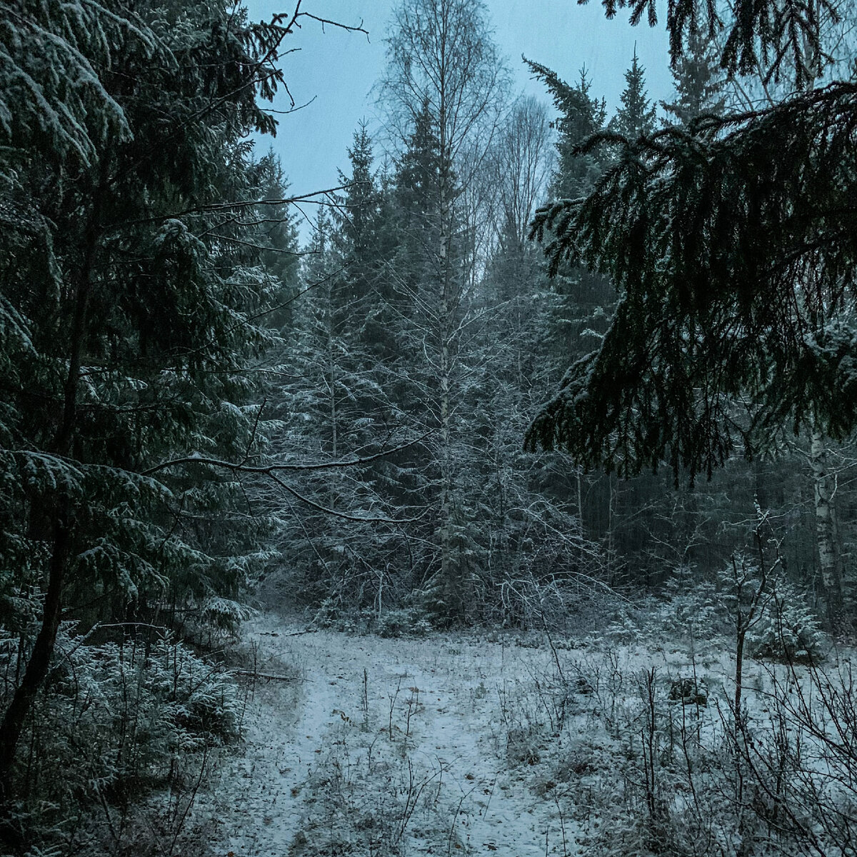 Наш первый снег =)