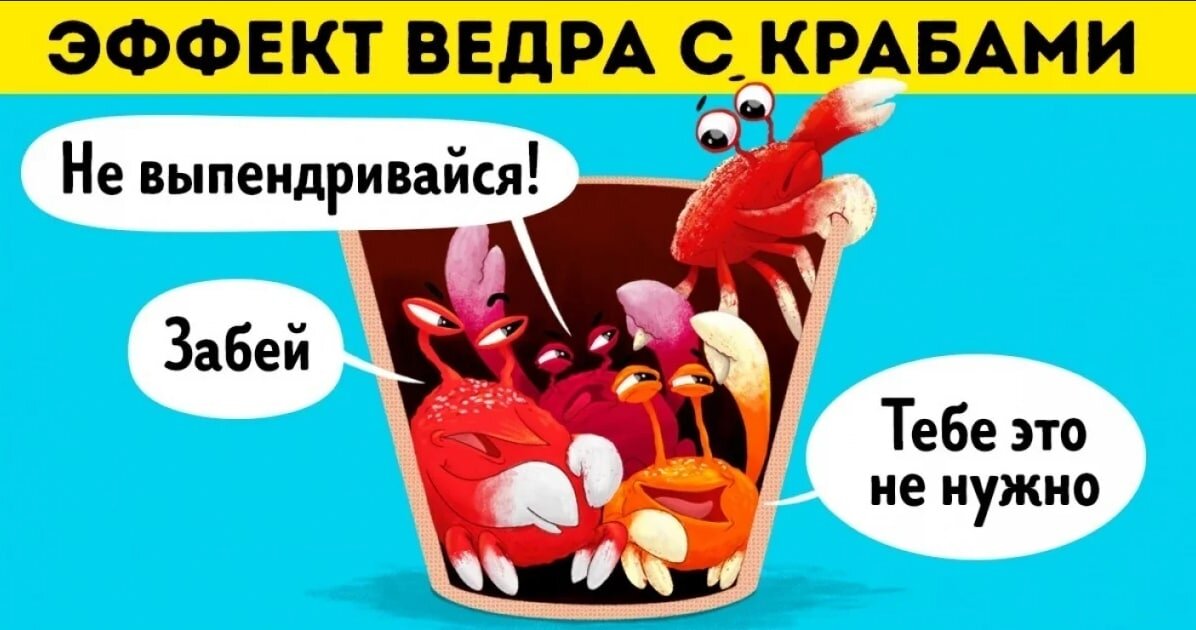 Crab bucket. С просторов интернета