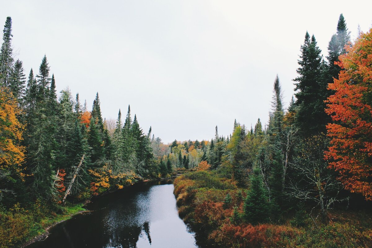 Фото: Noah Silliman / Unsplash