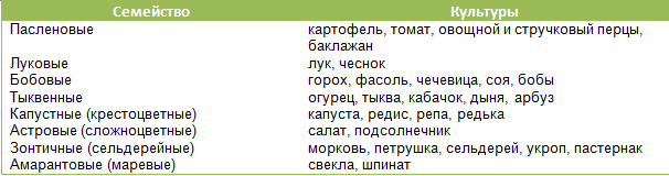 Что с чем сажать на огороде: выбираем благоприятное соседство для различных культур