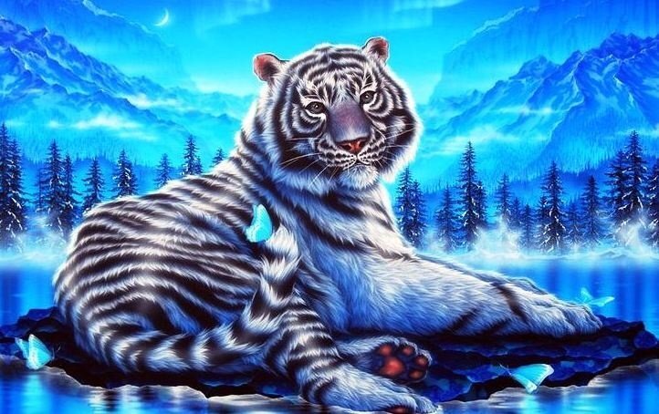 Совсем скоро наступит Новый, 2022 год Водяного Тигра, который будет править с 1 февраля 2022 по 21 января 2023 года. Все старое нужно оставить в ушедшем году, а новый год – встретить исключительно с положительными мыслями, без какого-либо груза на душе, радостно и весело. 