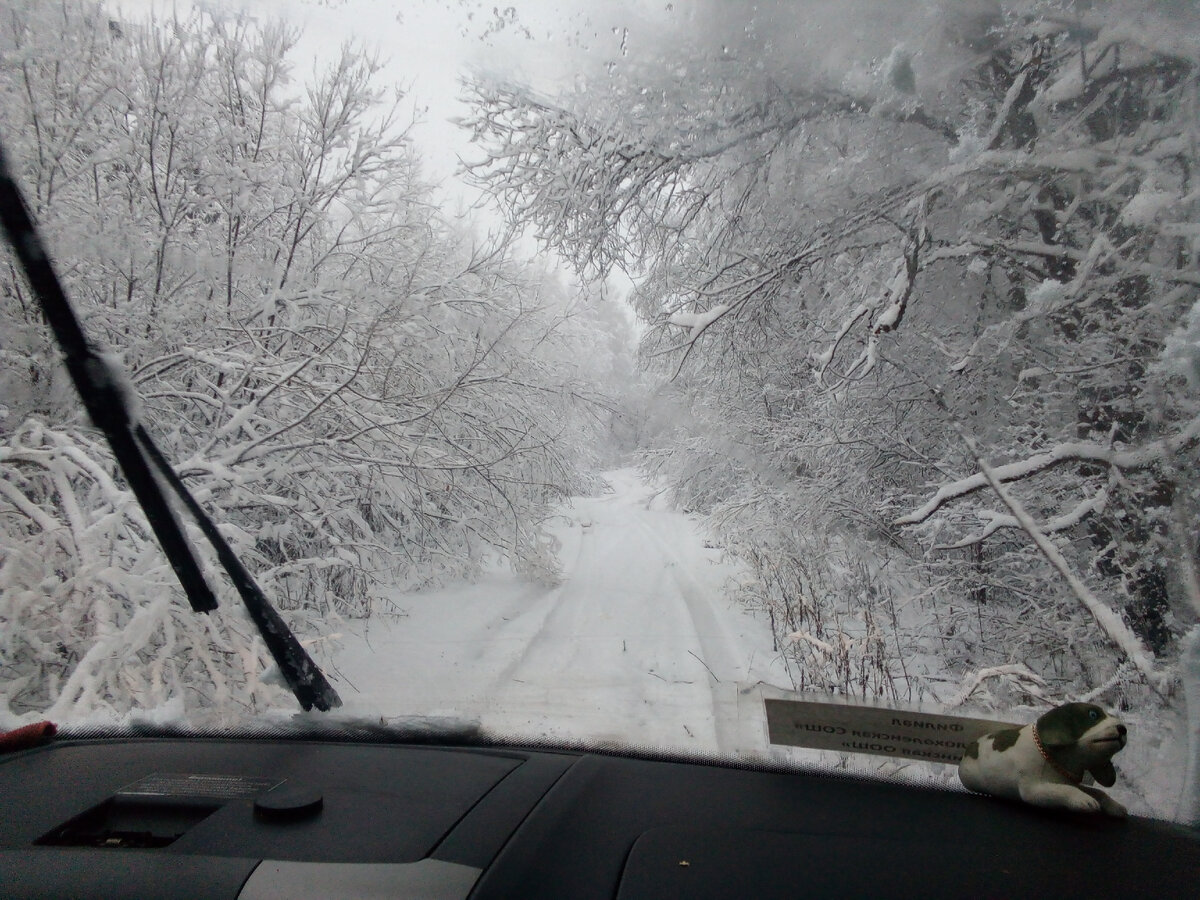 Дорога, до того, как мы её расчистили