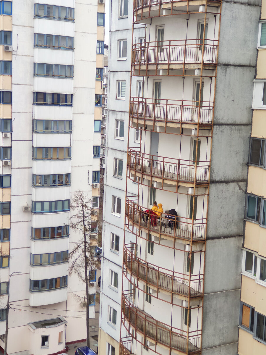 Подруга с ребенком уже месяц ищет квартиру в Москве. Сдаем гражданам РФ,  без детей и животных- пишут многие хозяева | Путешествуем всей семьей | Дзен