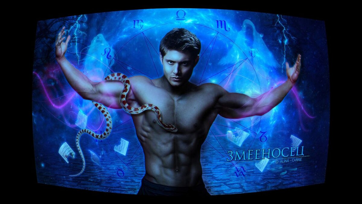 Фото взяты с бесплатного стокового сайта pixabay