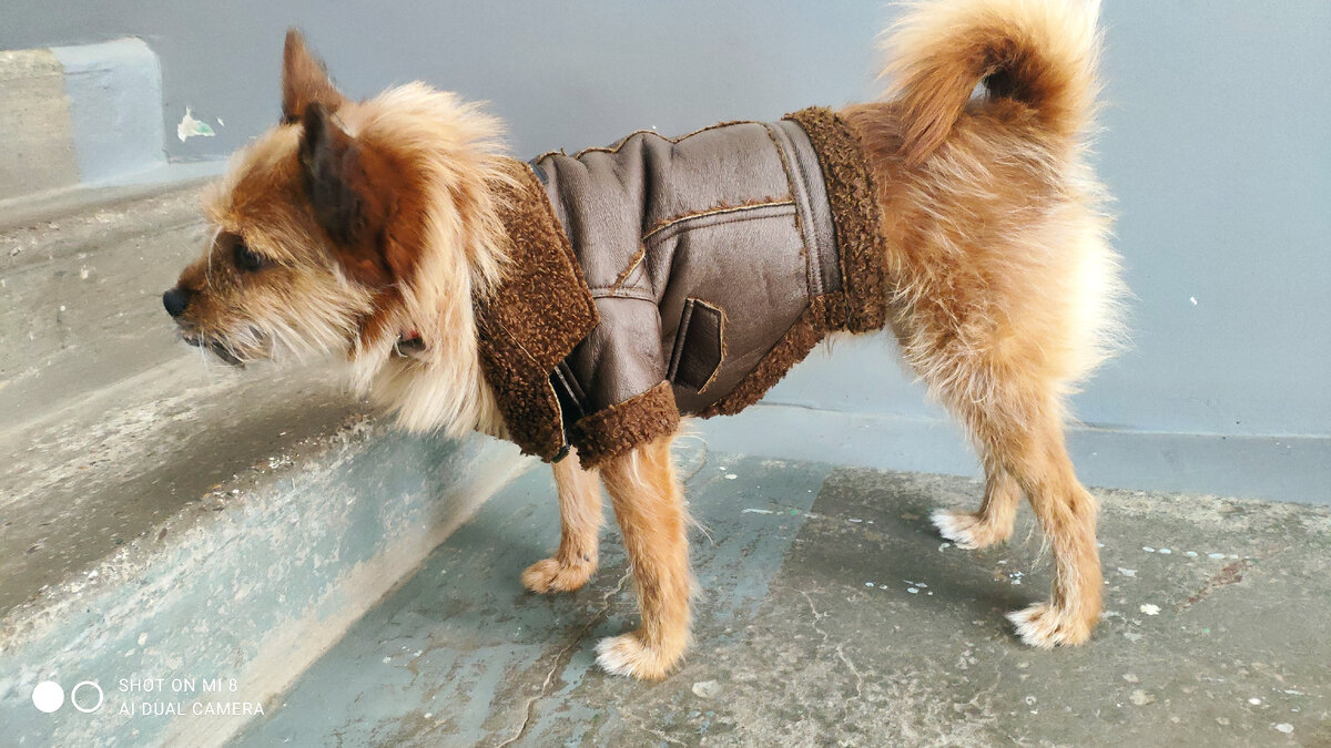 Без шубы было бы веселее.