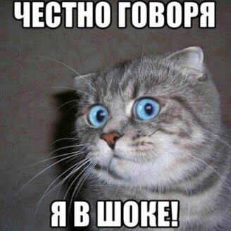 у меня был реально такой взгляд...