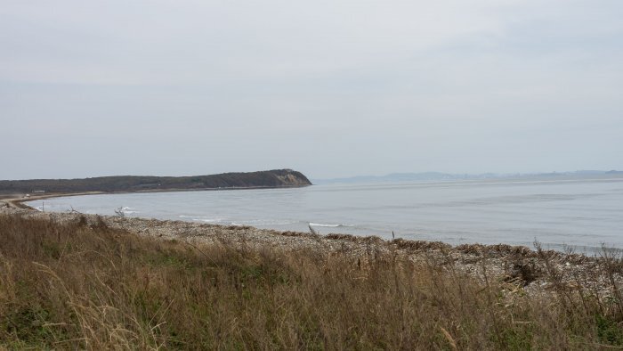 WWF России, Амурский филиал