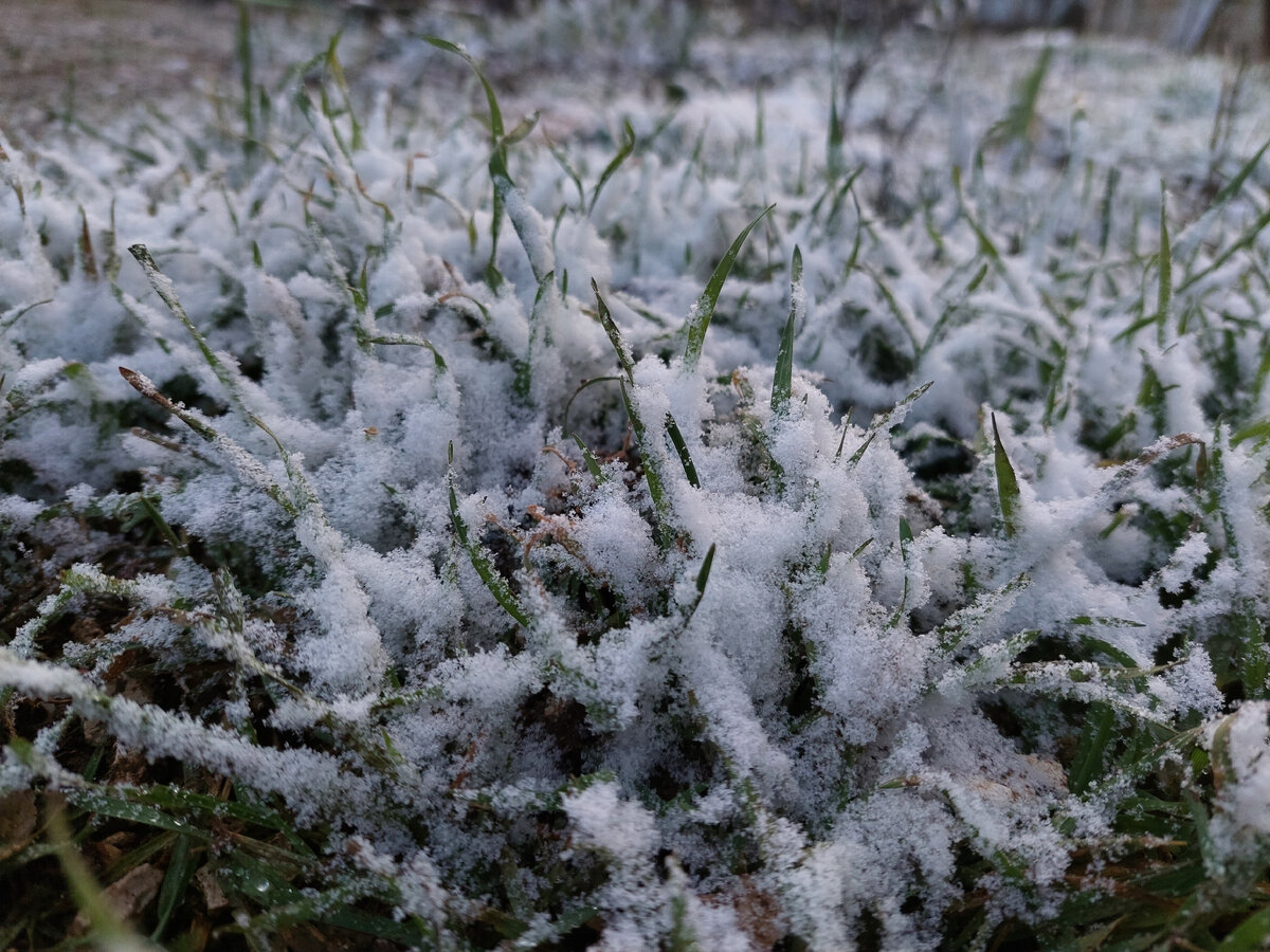 Фот такой вот снегопад у нас