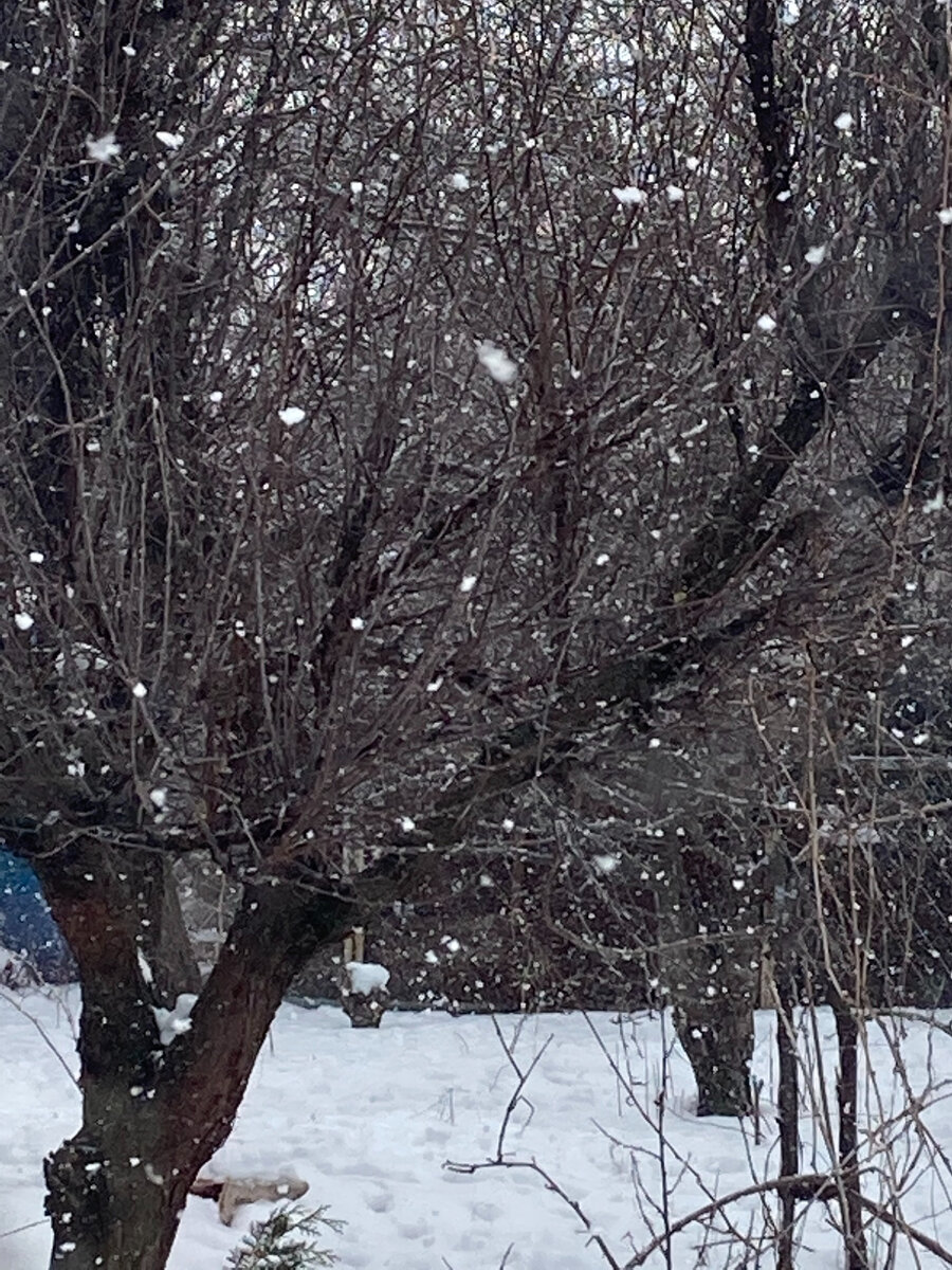 Вот скажите мне - это весна? Весна или издевательство? Как можно радоваться жизни, когда утром глаза открыл, а там - вот это? Белые точки - это вообще-то летящий снег. 