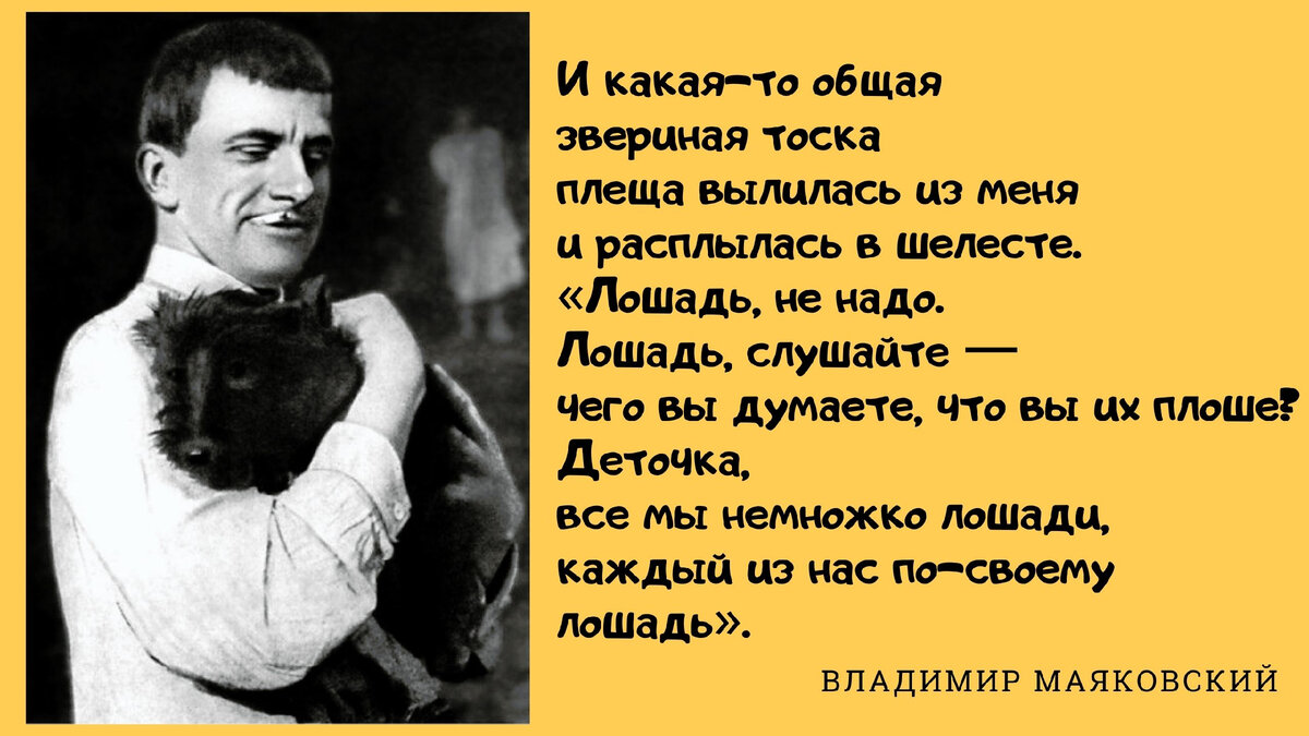 ЕГЭ по литературе: №11. Готовый ответ на вопрос-сравнение о доброте и  милосердии | Русский и Литература | Дзен