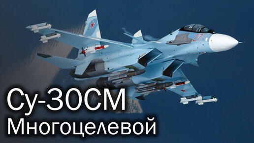 Су-30СМ - многоцелевой истребитель. История и описание