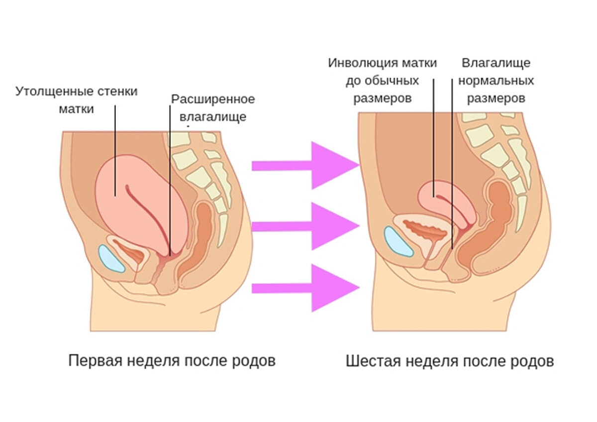 Оргазм после родов