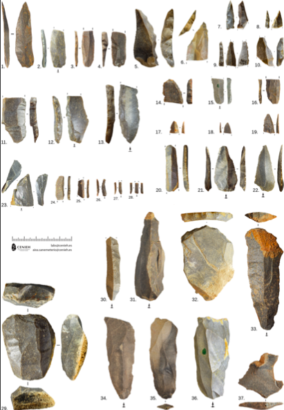Изображение взято с сайта: https://journals.plos.org/plosone/article?id=10.1371/journal.pone.0265219