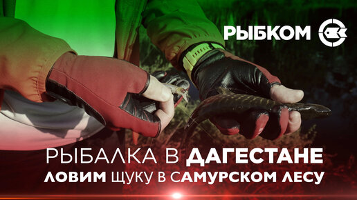 Русская Рыбалка 3 | Игра - онлайн рыболовный симулятор