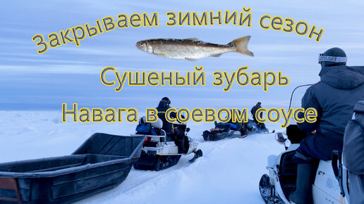 Подлёдная рыбалка на Сахалине | Сушим корюшку и навагу