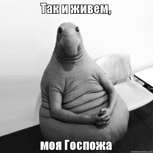 взято из свободных источников