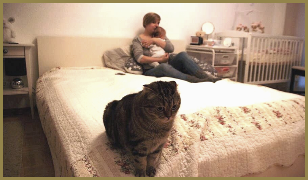 Господи, кого она опять притащила в дом...? А как же я...любимый Васенька...