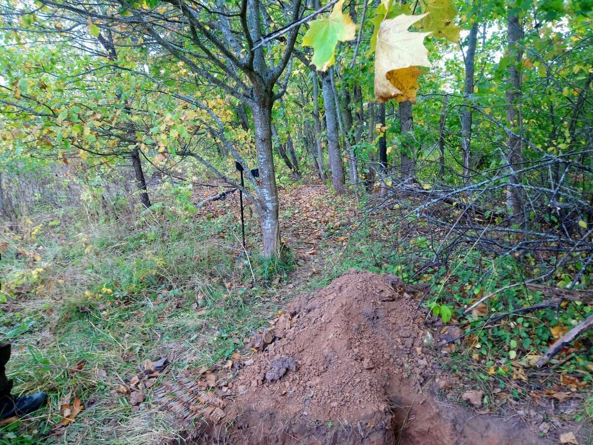 Подпер угорские горы своими плечами железными. Хренско валуны и палочки. Угорская гора. Старик камень висимский заповедник. Подпер угорские горы своими плечами железными.