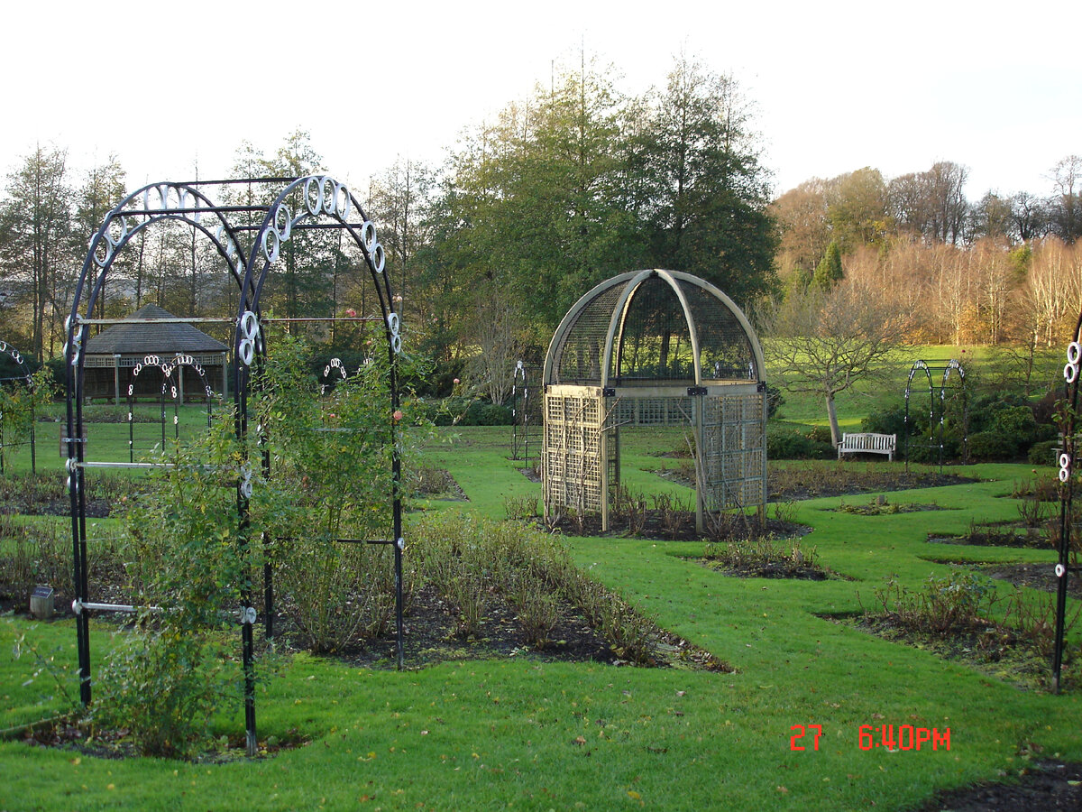 Розовый сад Белфаста 