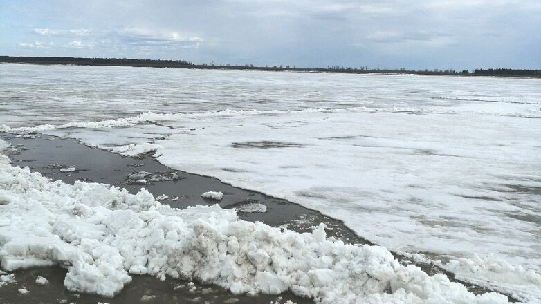Фото: Зыкина Тагирова /Во "ВКонтакте"