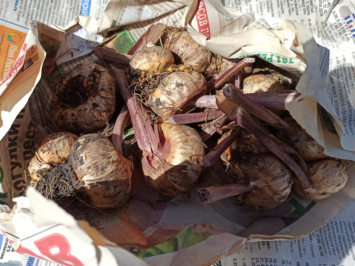 Фото: Алексей Володихин