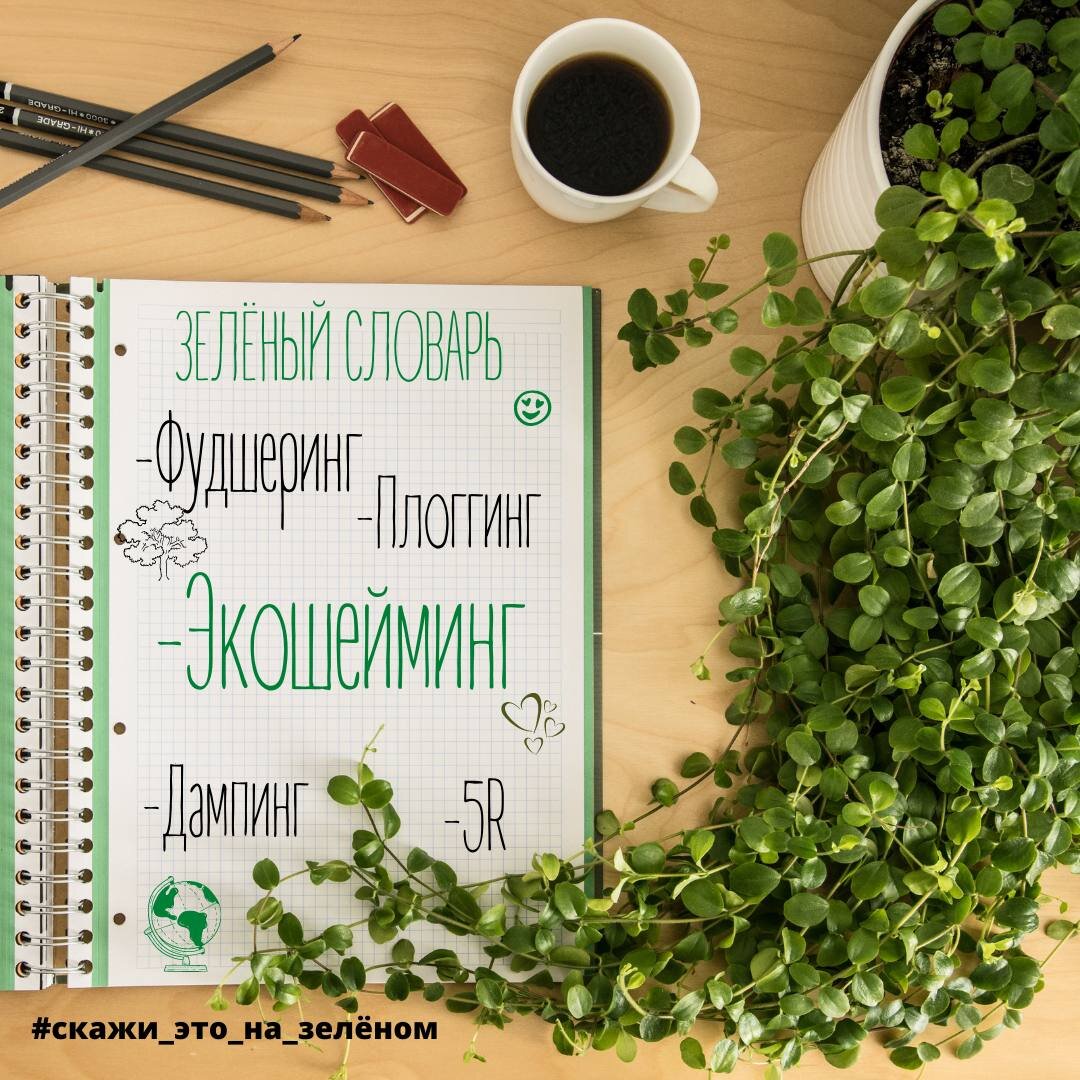 #зеленые #словарь #экошейминг #психология #здоровый образ жизнь #осознанное потребление 