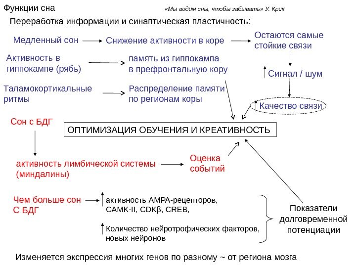 Функции сна картинки