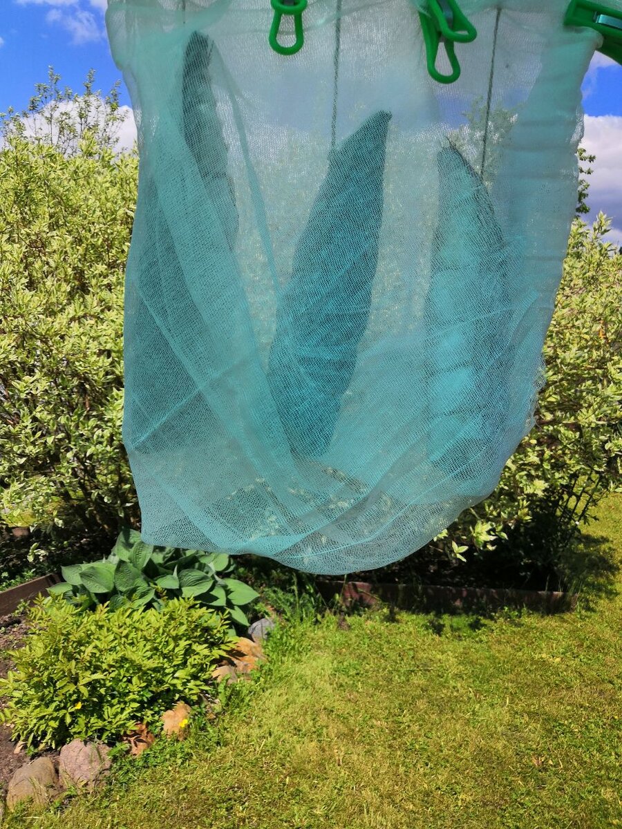 Фото из личного архива