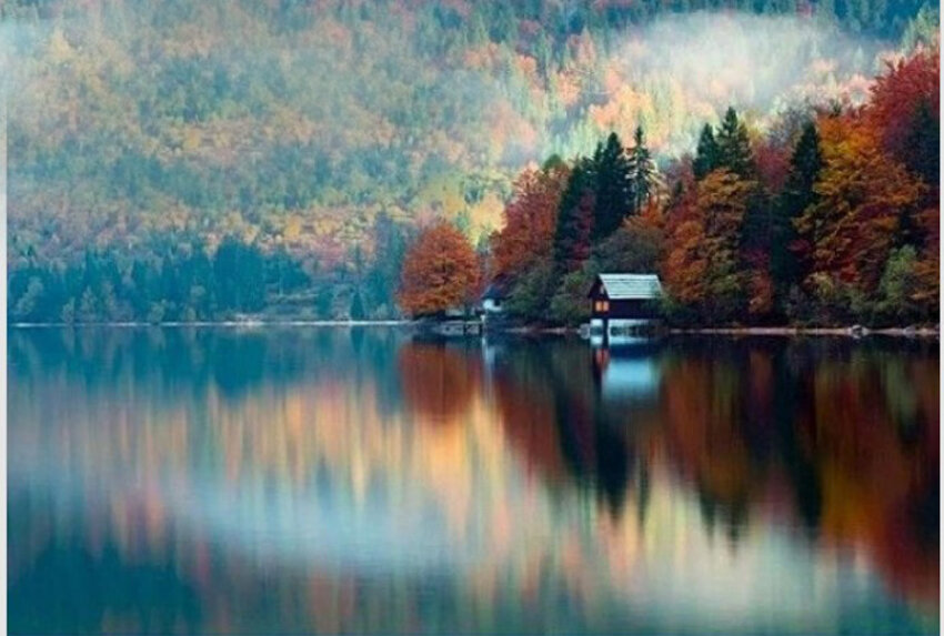 Дом у озера | Ночная собеседница | Дзен