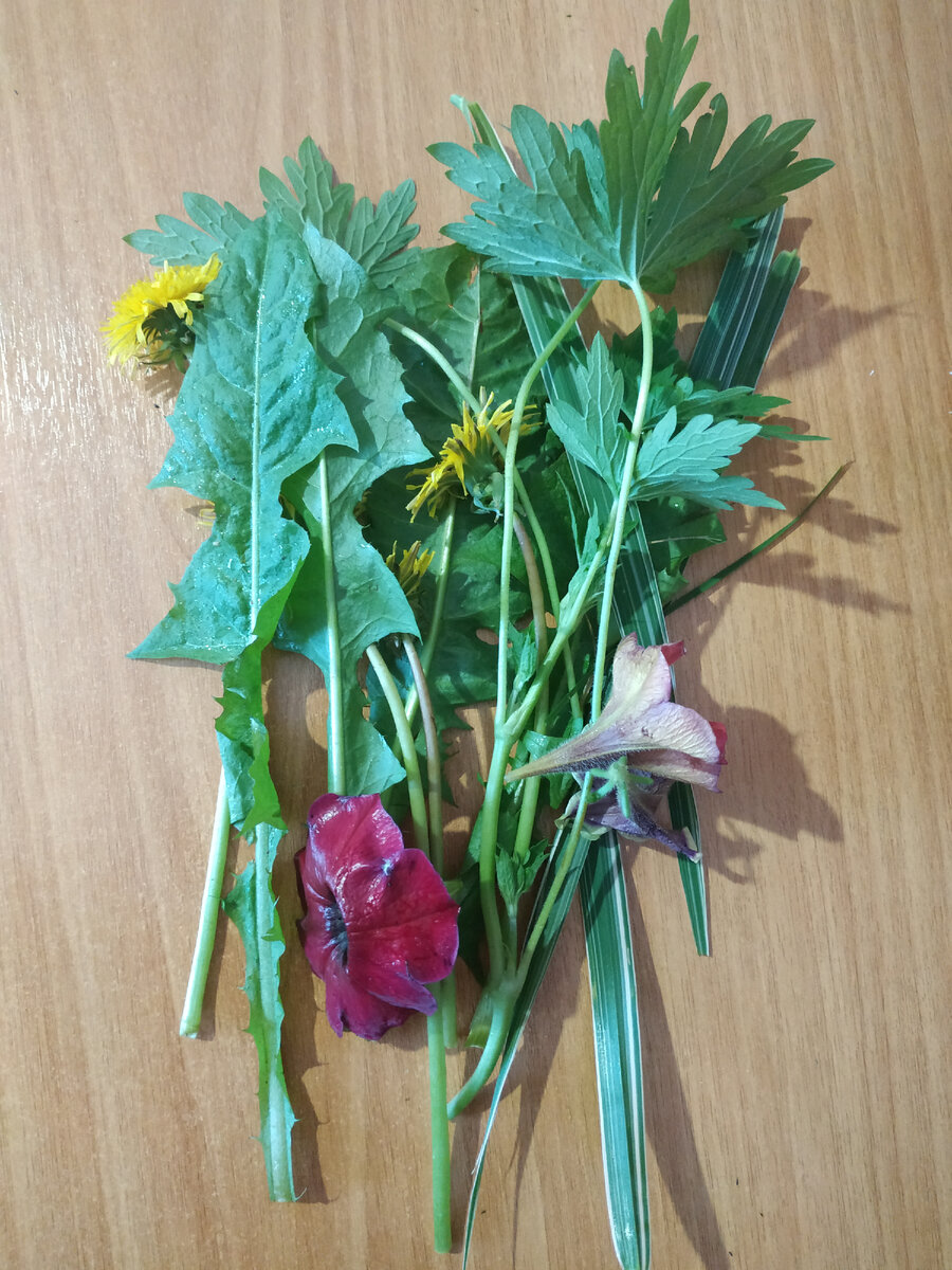 Быстро собрала всё, что попалось под руку